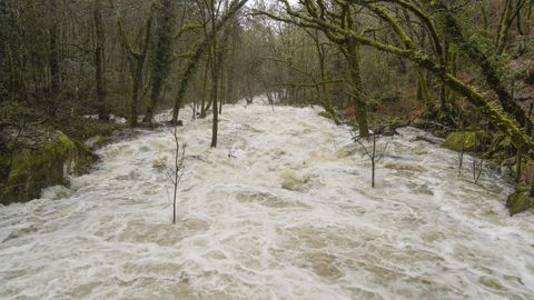 As� baja el Barbanti�o en las Fervenzas do Cach�n