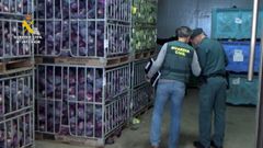 Cae en Motril una red acusada de vender dos millones de kilos de frutas y verduras supuestamente ecol�gicos