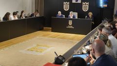 El pleno celebrado este lunes en Pontevedra aprob� las cinco mociones debatidas, tres de ellas por unanimidad