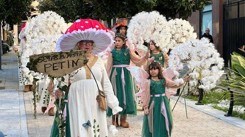 Desfile de entroido en A R�a de Valdeorras.