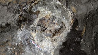 El cerebro saponificado ha sido trasladado a la Facultade de Historia de Santiago de Compostela