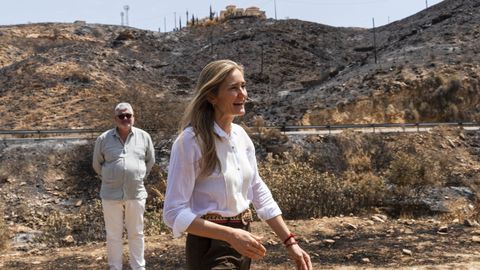 La vicepresidenta tercera del Gobierno y ministra para la Transici�n Ecol�gica y el Reto Demogr�fico, Sara Aagesen, durante su visita este martes a la zona afectada por el incendio de Los Gallardos.