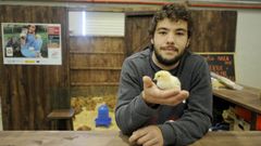 Noel, de Aeiro�, muestra un polluelo de gallina de Mos 