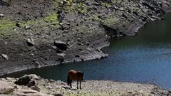 El embalse de Ba��a, en Baiona, a un tercio de su capacidad. El concello aplica desde esta semana restricciones y medidas de ahorro del agua, equivalentes a las previstas para un escenario de alerta, ante la evoluci�n negativa de los indicadores hidrol�gicos.