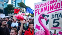 Las protestas se denominan Revoluci�n Flamingo
