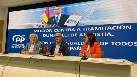 Rosendo Fernndez, Jos Manuel Baltar y Ana Villarino presentaron la mocin en Ourense.