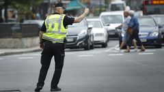 Los agentes, en pleno servicio.