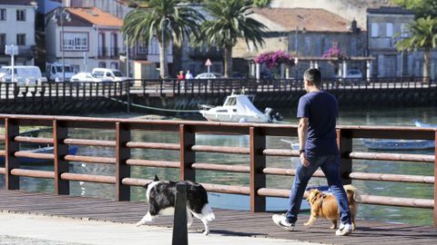 Antonio Gonz�lez, vecino, es un usuario habitual y pasea a sus perros