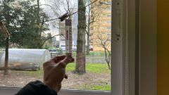 La ANPA Anduriña de la escuela infantil Crespo Rivas instaló termómetros en varias aulas