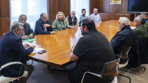Luis Menor, con los alcaldes de la Ribeira Sacra Ourens� durante la reuni�n para preparar la recuperaci�n de la Mostra de Vi�os.