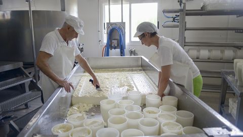 Quesería Don Crisanto, en Vilalba, galardonada con el premio Alimentos de España en el apartado de queso madurado de vaca