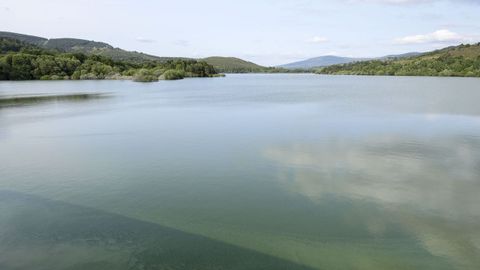 Color verde en el embalse de As Conchas causado por las cianobacterias