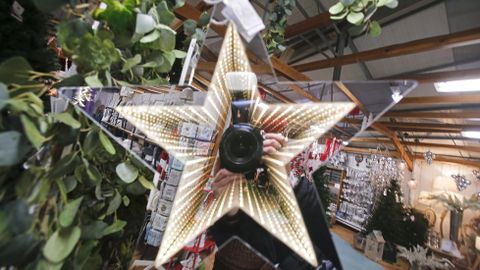 Navidad en Viveiros O Pi�eiro