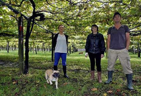 �ngela -en el centro- fue contratada por los hermanos Falc�n para la vendimia de Don Olegario; con el dinero que gan� podr� asumir mejor en octubre el dif�cil reto de llegar a fin de mes. 