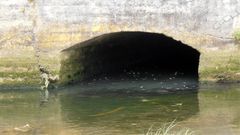 Posibles vertidos residuales al r�o Piles