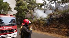 Incendi� forestal en Quins