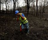 <span lang= es-es >Da�os medioambientales</span>. A la tasaci�n de los bienes inmuebles realizada por el Concello de A Merca hay que sumar los da�os medioambientales sufridos en la zona.