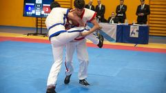 Javier Armesto, en plena actividad durante la Copa Diputacin de Kung Fu