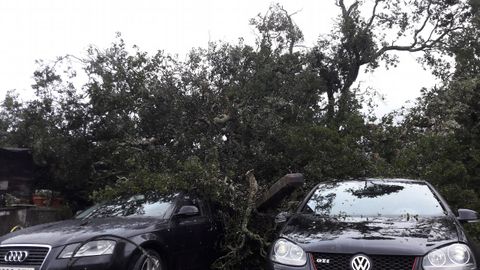 EFECTOS DEL TEMPORAL ANA EN A CORUA Y LA COMARCA