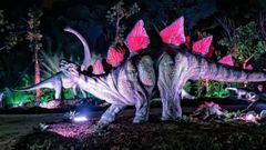 Dino Expo est� instalada en Expourense
