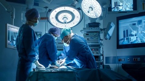 El hígado modificado se trasladó a un hombre en muerte cerebral