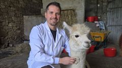 Hern�ndez Malag�n es uno de los profesores ayudante doctor que ha llegado a la USC; docente del �rea de medicina y cirug�a animal, en la foto con una alpaca de la granja�New Horizons, en Lanz�s (Vilalba), con la que colabora