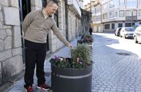 Un vecino muestra como las plantas fueron partidas m�s o menos todas a la misma altura. 