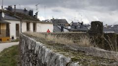 La Xunta prev� realizar trabajos de limpieza y de consolidaci�n en la Muralla en el 2021 