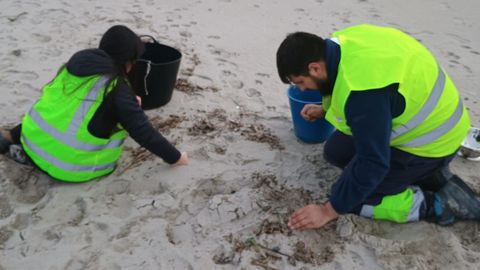 Recogida de pellets en la playa de Penarronda, entre Tapia y Castropol