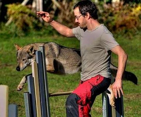 Yaco Ricoy, presidente del club, con Barbu, en una prueba de agility.