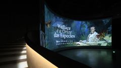 Exposici�n de Alfred Russel Wallace en Lugo
