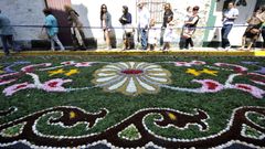 Alfombras florales de Ares en anteriores ediciones
