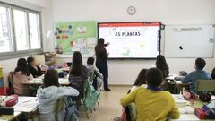 La educaci�n fue el sector que m�s tir� del empleo en el mes de febrero. En la imagen, una clase de alumnos de primaria en Boimorto