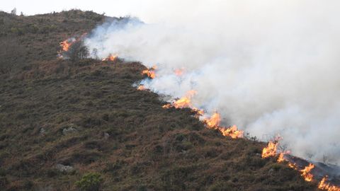 Incendio forestal