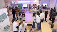 Los estudiantes de los 20 centros que han desarrollado polos creativos este curso como experiencia piloto presentaron sus proyectos esta semana en Santiago