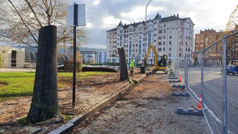 Tala de �rboles en la Calle Sabino Fern�ndez Campos de Oviedo. Los vecinos critican que los ejemplares estaban sanos y solo se retiraron porque levantaban la acera