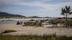 Un caballo y un poni se pasean por la playa de Boca do R�o