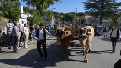 45 Festa da Pataca de Vilar de Barrio