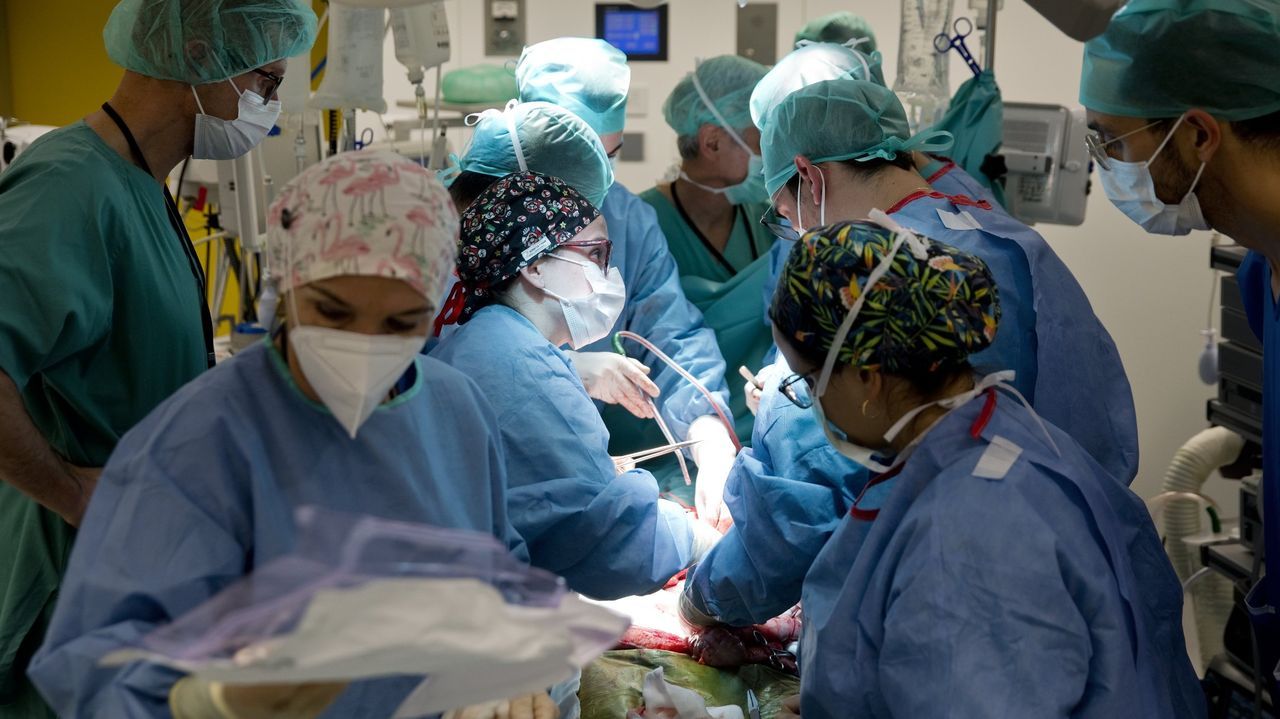 Facultad de Medicina: sentir común y sentido común