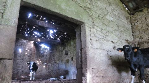 O edificio que albergou en tempo o obradoiro de camp�s de Paderne de Abaixo, na parroquia de Muradelle, � utilizado hoxe como establo