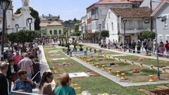 Alfombras flores de Ares