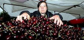 Las cerezas ser�n las grandes protagonistas de la feria.