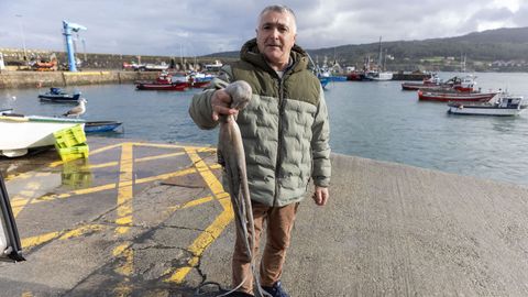 Ayer hubo subasta en la lonja de Laxe, instalaci�n que desde hoy permanece cerrada por el paro fijado por el sector a partir del lunes.