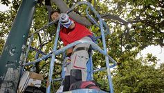 Las cinco c�maras instaladas en los jardines de M�ndez N��ez estar�n operativas tres d�as a la semana.