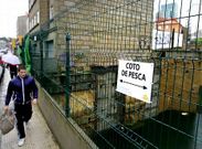 Si algo corre a raudales por Vigo, adem�s de agua, es sentido del humor.