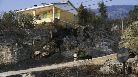 Una de las muchas zonas afectadas por los incendios en �vila