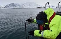 Trabajo de campo con un hidr�fono en las aguas del Mar de Barents