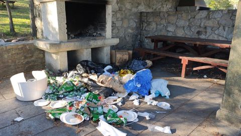 BASUREROS INCONTROLADOS.El parque ribeirense se despierta con estas escenas despus de cada botelln o reunin familiar, a pesar de que hay puntos de recogida habilitados para dejar limpios los espacios pblicos. Los encargados de la zona denuncian la falta de sensibilidad de los visitantes, que continan con estos comportamientos pese a los avisos y seales a lo largo del perodo estival.