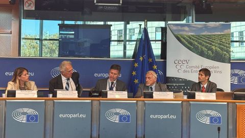 El Parlamento Europeo celebr&oacute; un debate sobre el vino y la salud