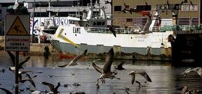 Buques que antes ten�an base en Vigo se han abanderado en Irlanda o Francia para poder tener m�s cupo en Gran Sol.